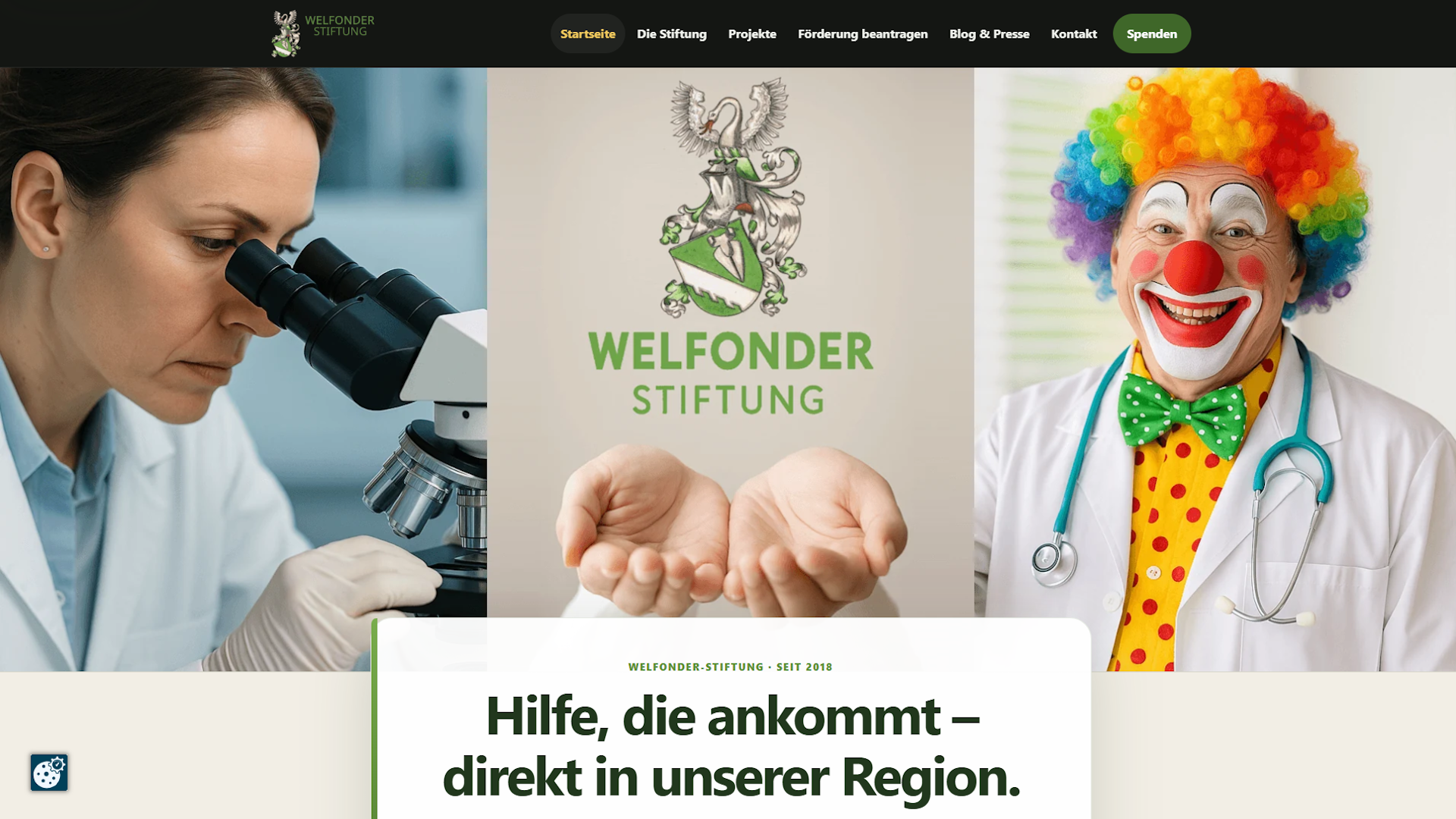Vorschau des Projekts Welfonder Stiftung